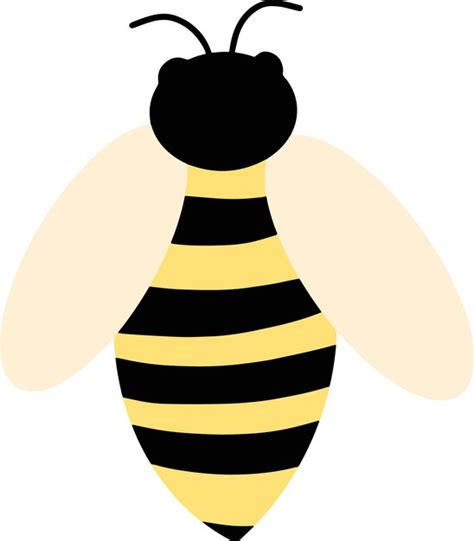 Premium Vector Hand Drawn Honey Bee Illustration