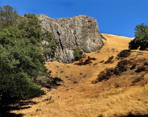 Concord Hiker Strikes It Rich On Mt Diablo