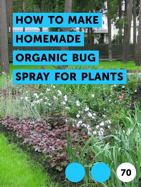 Content updated daily for bug killer homemade. How to Make Homemade Organic Bug Spray for Plants | Bug spray for plants, How to make compost ...