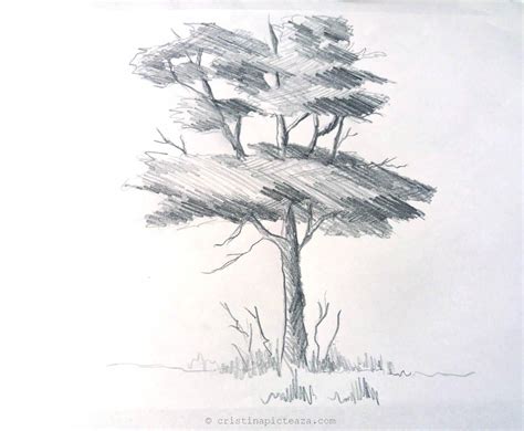 Miturile si simbolurile legate de martisor ce nu stiai despre martisor: Desen In Creion Cu Copac Desene In Creion Cristina Vivi