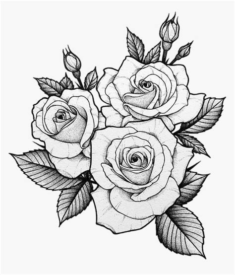 1001 Ideas Sobre Cómo Dibujar Una Rosa Paso A Paso Dibujos De Rosas