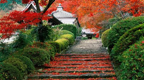 Japan Garden Kyoto Autumn Fall Wallpapers Hd Desktop