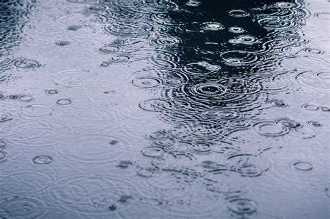Rain Drops Rippling In A Puddle On A Dark Rainy Day Stock Photo By
