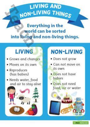 living   living  poster science teaching resources