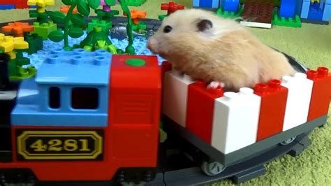 Tiny Hamster Playing On The Lego Playground Youtube