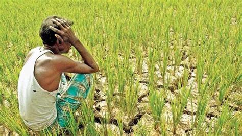 Please note it is not a compr. Indian Farmers Lost Rs.3 Lakh Crore in 2017-18 | NewsClick