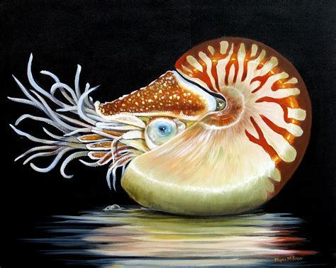 Nautilus 2 Painting By Phyllis Beiser Fine Art America