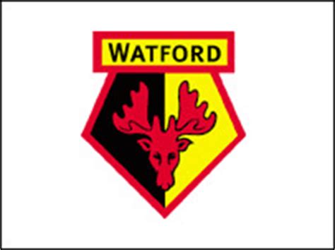 Nov 26, 2020 · the statistics ranks the clubs of the english premier league by revenue in the 2018/19 season. BBC - London - Sport - Watford FC Interviews