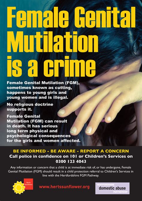 Domestic Abuse Posters Leaflets And Strategy