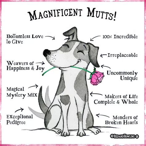 A Dog With The Words Magnificent Mutts On Its Face And Description