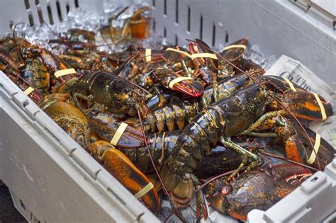 ‘blacklisted Nova Scotia First Nation Pulls Commercial Lobster Boats