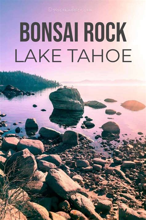 Bonsai Rock Lake Tahoe Nevada Directions Trail And Photos