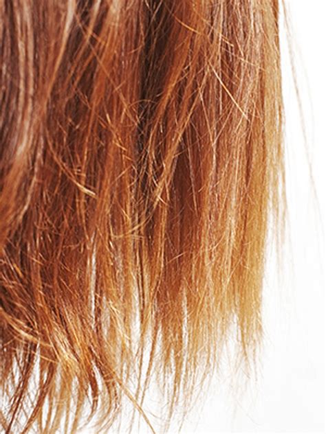 There Are 16 Different Types Of Split Ends On This Chart Allure