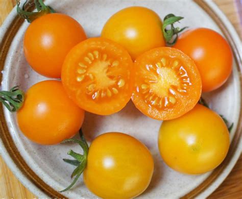 Mini Orange Tomato A Comprehensive Guide World Tomato Society