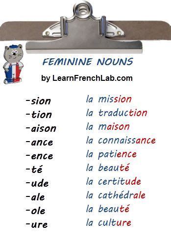 Learn How To Identify The Gender Of French Nouns Easy Tips To Find Out Instantly If A Noun Is
