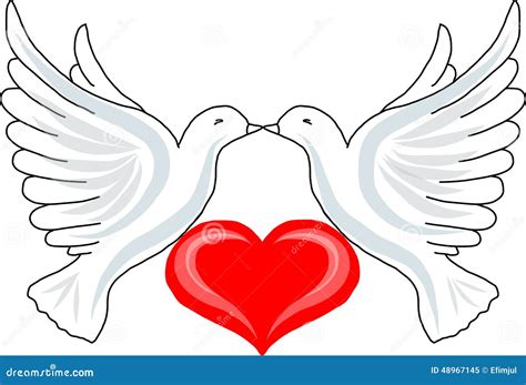 Two Doves With Heart Stock Vector Illustration Of Love 48967145