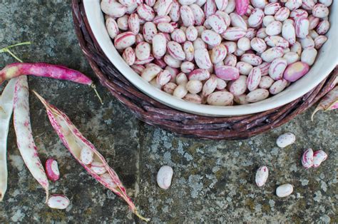 Shelling beans like cranberry and cannellini are in farmers' markets now, cook quickly, and taste great, and you don't even need a recipe. La Tavola Marche: The Beautiful Borlotti: Speckled Cranberry Beans {5 Recipes}