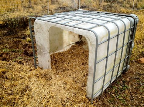 9 Versatile Uses For Ibc Totes On A Small Farm Or Homestead Pig