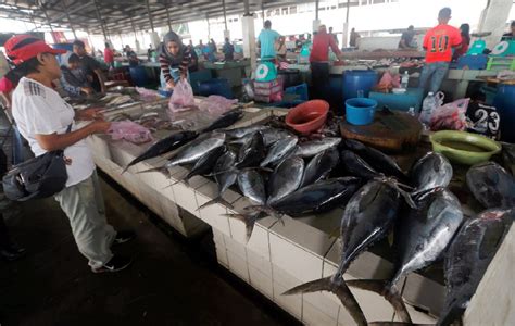 Cuaca Tak Menentu Harga Ikan Di Kk Naik Wilayah Berita Harian