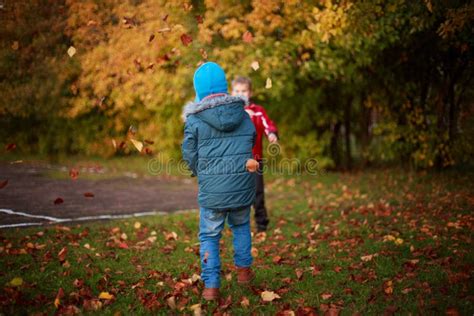 Children Playing With Leaves In The Park Stock Photo Image Of Bright
