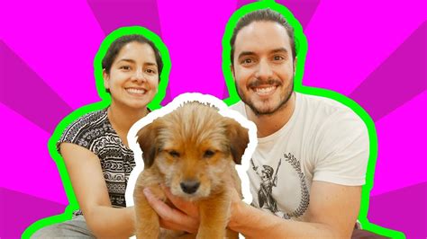 ¡adoptamos Una Cachorrita Youtube