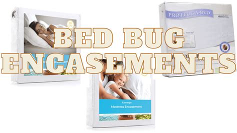 Are Bed Bug Encasements The Solution Youre Looking For Bed Bugs World