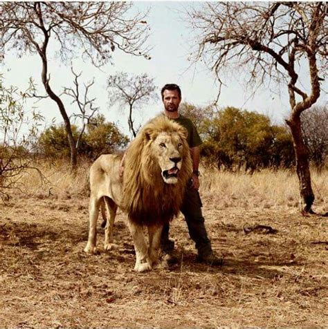 Kevin Richardson The Lion Whisperer And One Of His Lions Animals