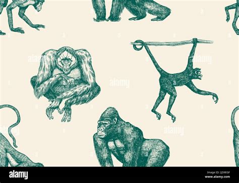Bonobo or chimpanzee Seamless pattern. Western gorilla Orangutan