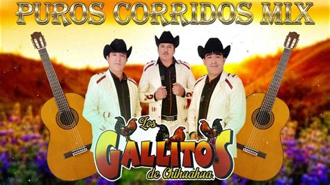 Los Gallitos De Chihuahua Puros Corridos 25 Exitos Mix Para Pistear