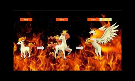 Ponyta Evolution Chart