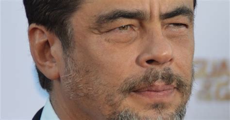 Benicio del toro has earned critical accolades throughout his career, winning an academy award for best supporting actor for his role in steven soderbergh's traffic as well as an oscar nomination for his work in alejandro gonzáles iñárritu's 21 grams. Benicio Del Toro @ Movies