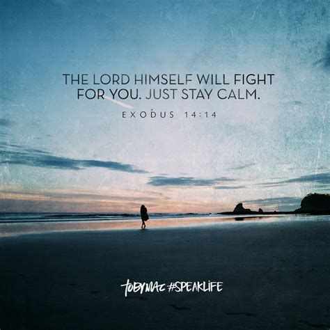 The Lord Himself Will Fight For You Just Stay Calm Speak Life