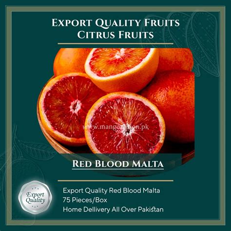 Red Blood Malta Export Quality Oranges 75 Pieces مالٹا