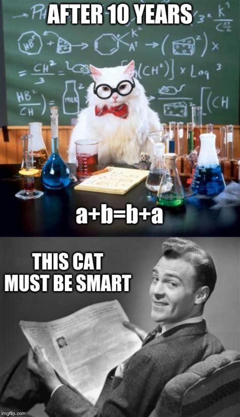 Smart Cat Eh Imgflip