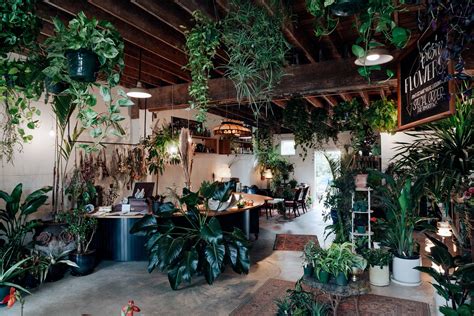6, 1947, to lewis and esther singer, in portland, oregon. Portland Oregon Plant Shop Roundup - Dalla Vita | Plants ...