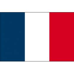 Épinglé sur Drapeau tricolore et pavillons France , drapeaux provinces historiques et organisations