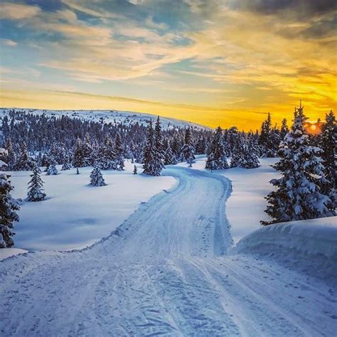 Cross Country Skiing At Sunset Xc Skiing Around Sunset Time Is A