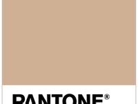 Pantone Hazelnut Pantone Pantone Hazelnut