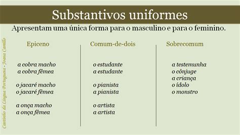 Cantinho Da Língua Portuguesa Substantivos Uniformes