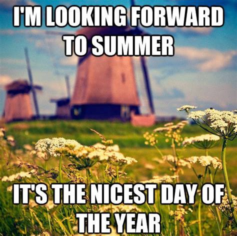 Im Looking Forward To Summer Its The Nicest Day Of The Year Pictures