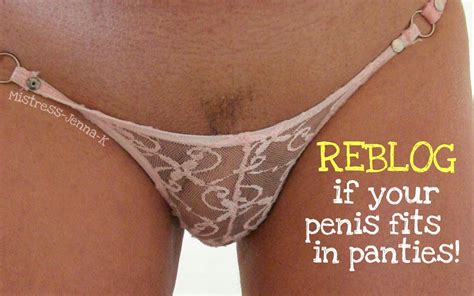 Reblog If Your Penis Fits In Panties Smithee