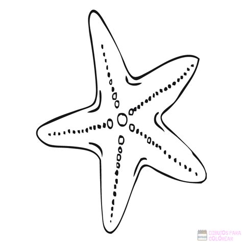 Como Dibujar Una Estrella De Mar Easy Drawings Dibujos Faciles Reverasite