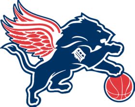Detroit Sports Teams T Shirt Lions Pistons Redwings Tigers Unisex