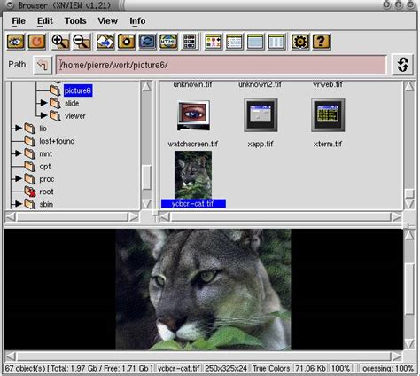 Best photo viewer, image resizer & batch converter for windows. Xnview Full : Download xnview for windows pc from ...