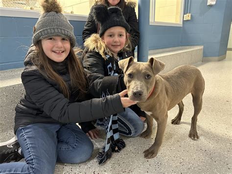 Parent & Me Volunteer at the Humane Society of Indianapolis