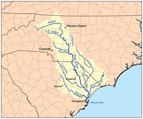 Waccamaw River American Rivers