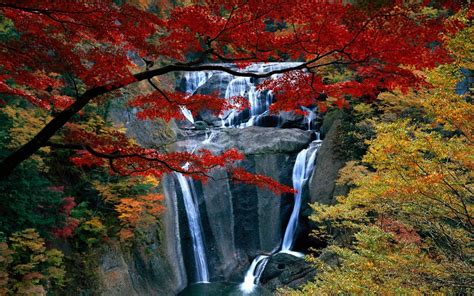 Fall Leaves Waterfall Wallpapers 4k Hd Fall Leaves Waterfall