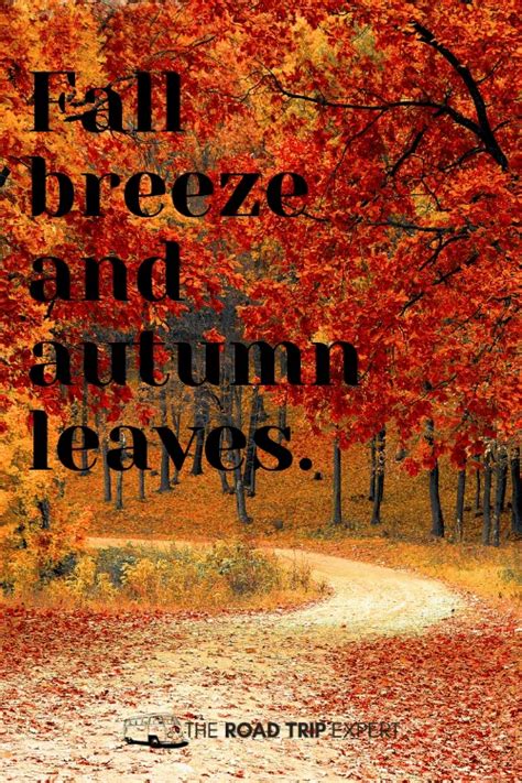 100 Beautiful Fall Instagram Captions And Quotes For Insta
