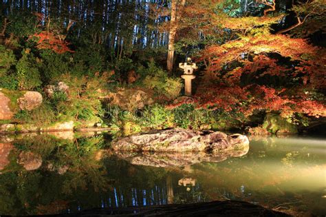 Night Time In Autumn At Shoren In Temple Stock Photo Image Of Leaf