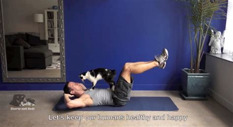 The best gifs are on giphy. Fitness Gurus Shorty and Kodi Will Pump You Up - Catster